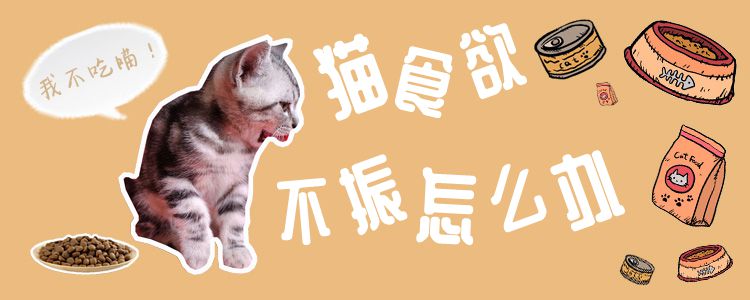 貓食欲不振怎么辦