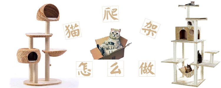 貓爬架怎么做