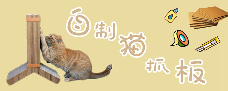 自制貓抓板