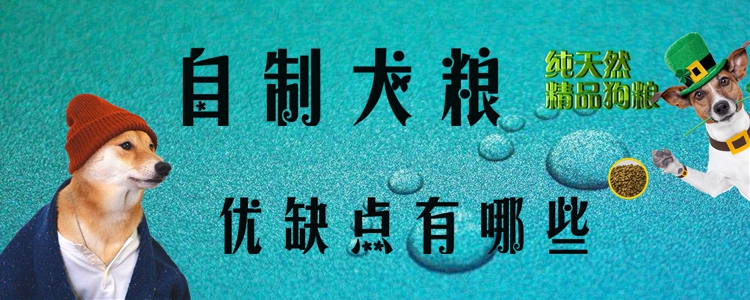 自制犬糧優(yōu)缺點(diǎn)有哪些