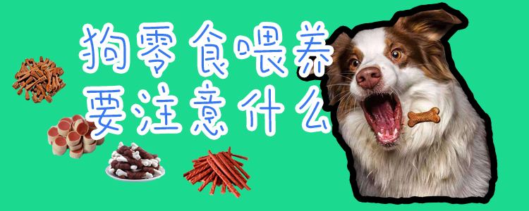 狗零食喂養要注意什么