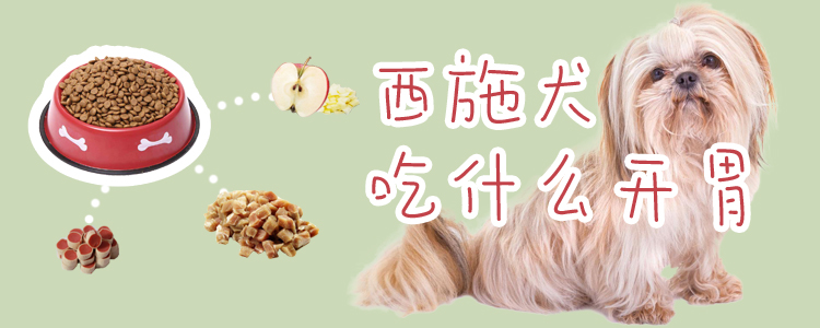 西施犬吃什么開胃