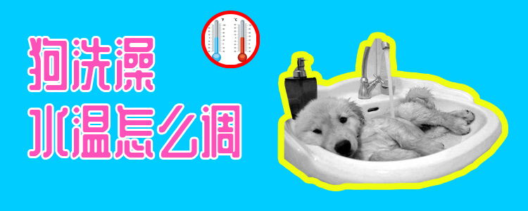 狗洗澡水溫怎么調