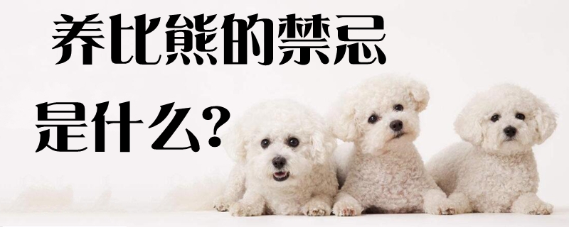 養比熊的禁忌是什么