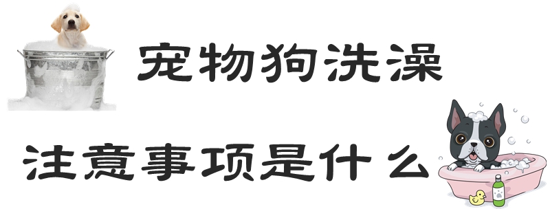 寵物狗洗澡注意事項是什么