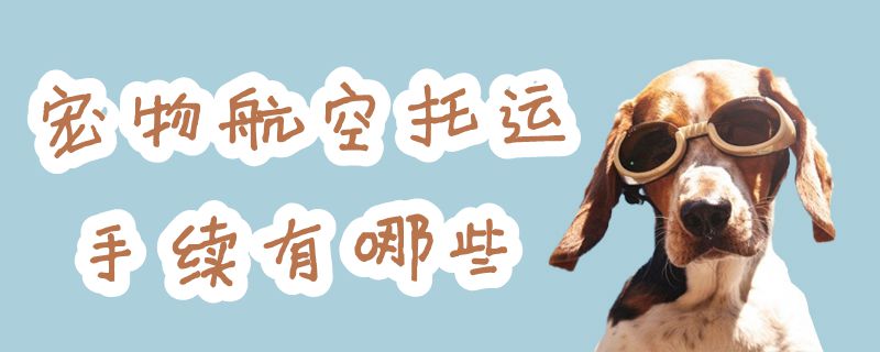 寵物航空托運手續有哪些
