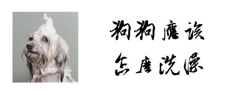 狗狗應該怎么洗澡