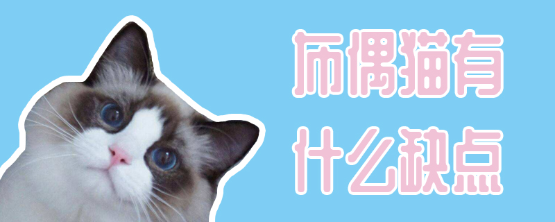 布偶貓有什么缺點