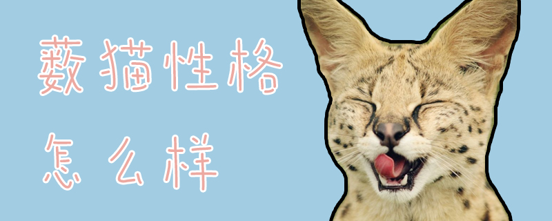 藪貓性格怎么樣