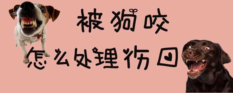 被狗咬怎么處理傷口