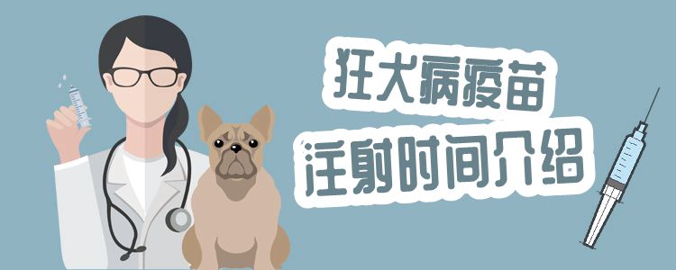 狂犬病疫苗注射時間介紹