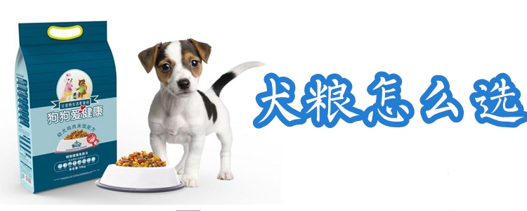 犬糧怎么選