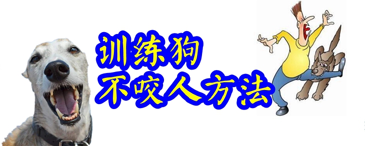 訓(xùn)練狗不咬人方法