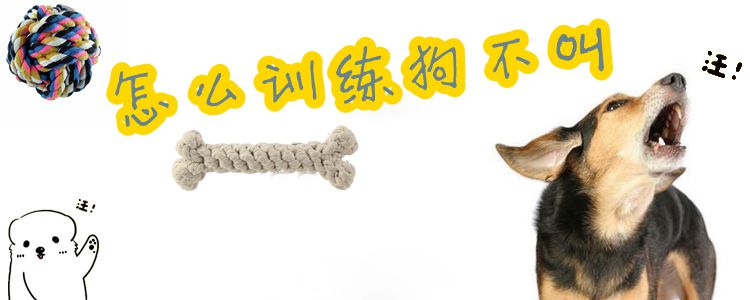 怎么訓(xùn)練狗不叫