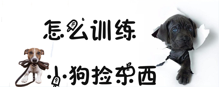 怎么訓練小狗撿東西