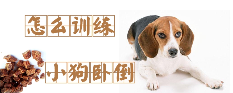 怎么訓練小狗臥倒