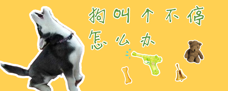 狗叫個不停怎么辦