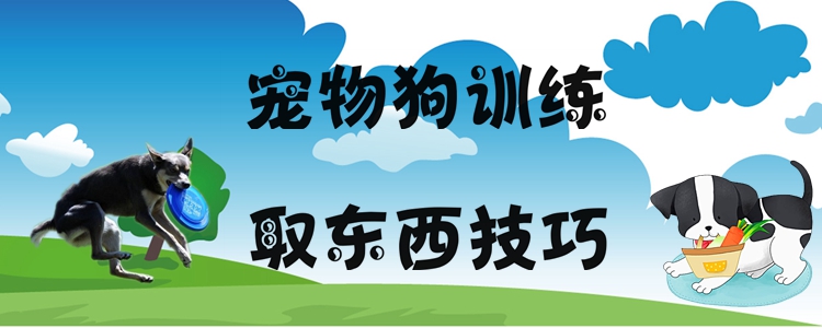 寵物狗訓練取東西技巧有哪些