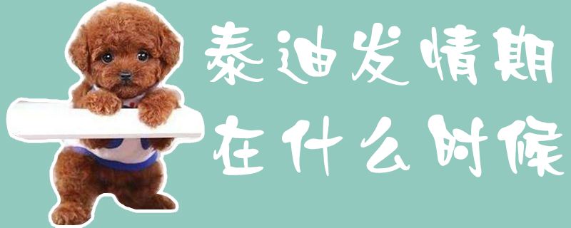 泰迪發(fā)情期在什么時候1