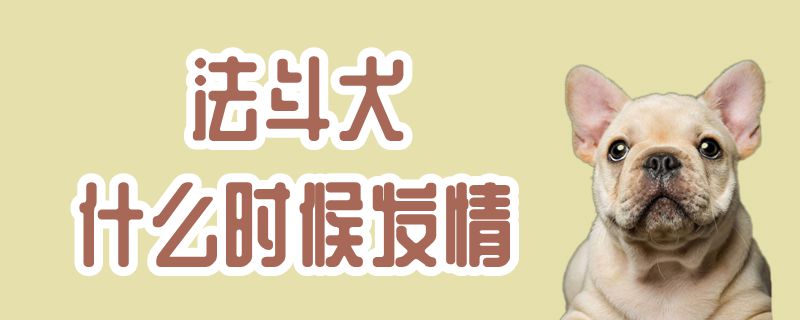 法斗犬什么時候發(fā)情
