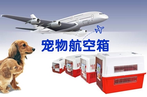 坐飛機寵物托運手續(xù)介紹