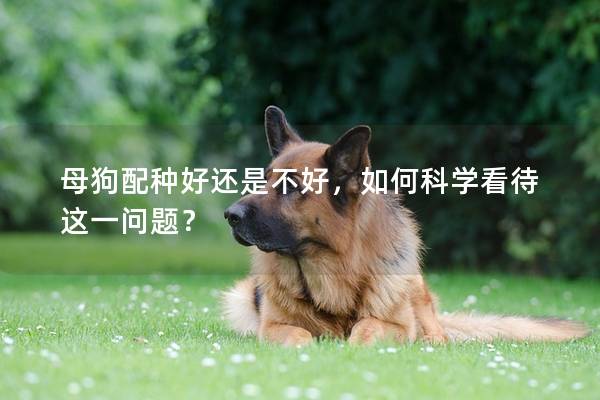 母狗配種好還是不好，如何科學看待這一問題？