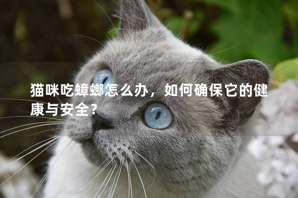 貓咪吃蟑螂怎么辦，如何確保它的健康與安全？