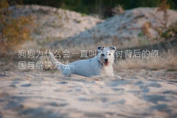 狗狗為什么會一直叫？探討背后的原因與解決方法