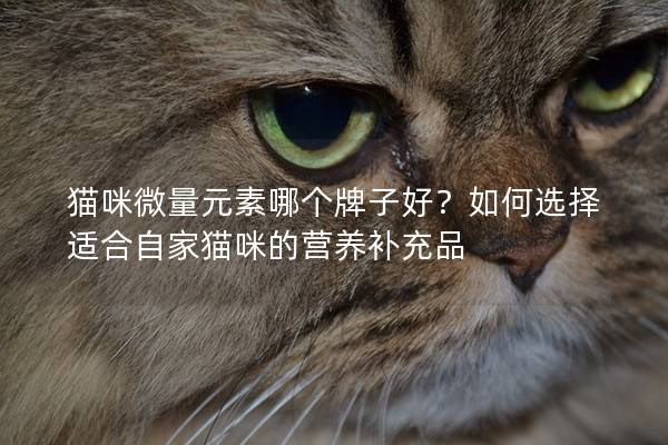 貓咪微量元素哪個牌子好？如何選擇適合自家貓咪的營養(yǎng)補充品