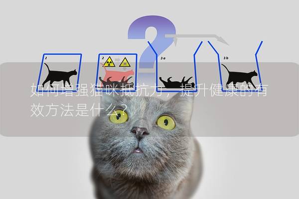 如何增強貓咪抵抗力，提升健康的有效方法是什么？