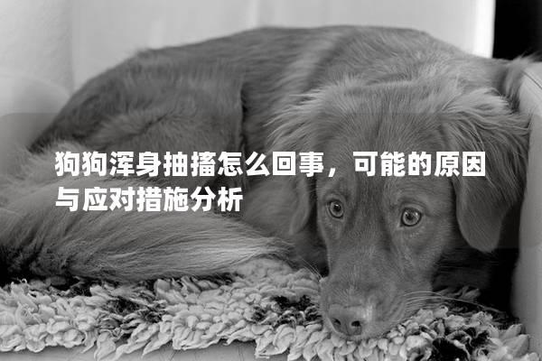 狗狗渾身抽搐怎么回事，可能的原因與應對措施分析