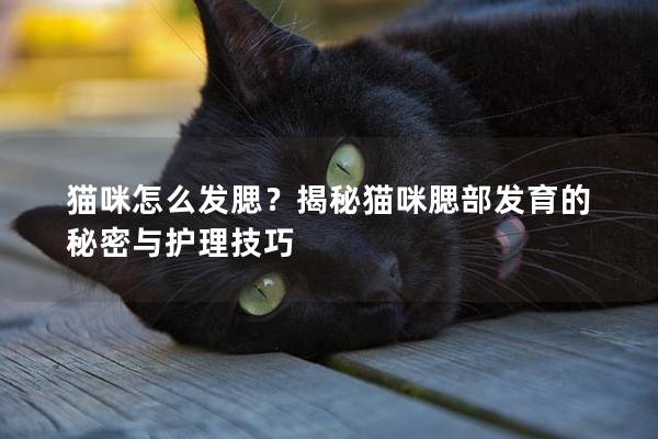 貓咪怎么發腮？揭秘貓咪腮部發育的秘密與護理技巧