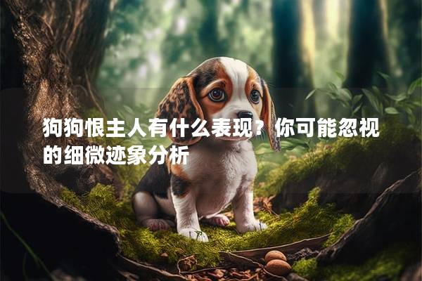 狗狗恨主人有什么表現(xiàn)？你可能忽視的細微跡象分析