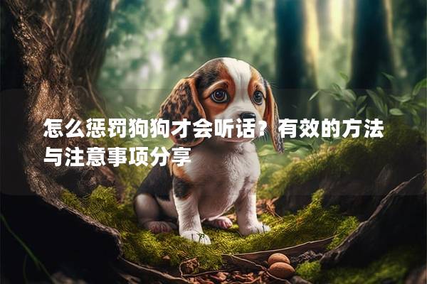 怎么懲罰狗狗才會聽話？有效的方法與注意事項分享