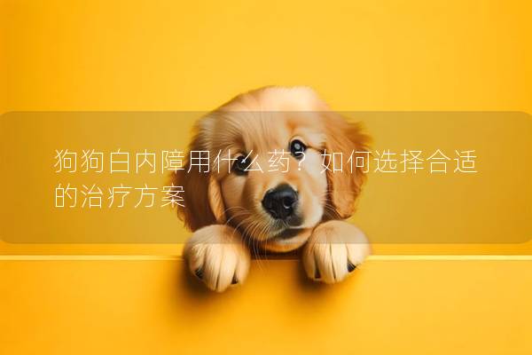 狗狗白內障用什么藥？如何選擇合適的治療方案