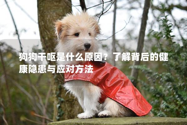 狗狗干嘔是什么原因？了解背后的健康隱患與應對方法