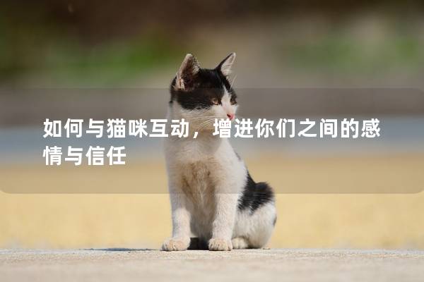 如何與貓咪互動，增進你們之間的感情與信任