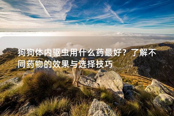 狗狗體內驅蟲用什么藥最好？了解不同藥物的效果與選擇技巧