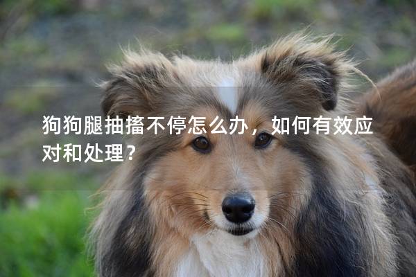 狗狗腿抽搐不停怎么辦，如何有效應(yīng)對和處理？