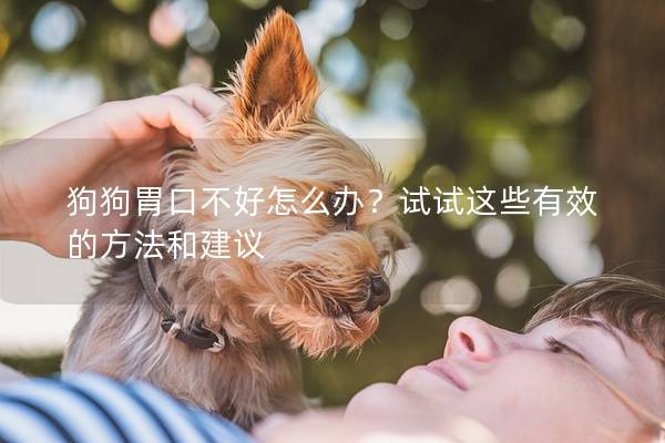 狗狗胃口不好怎么辦？試試這些有效的方法和建議
