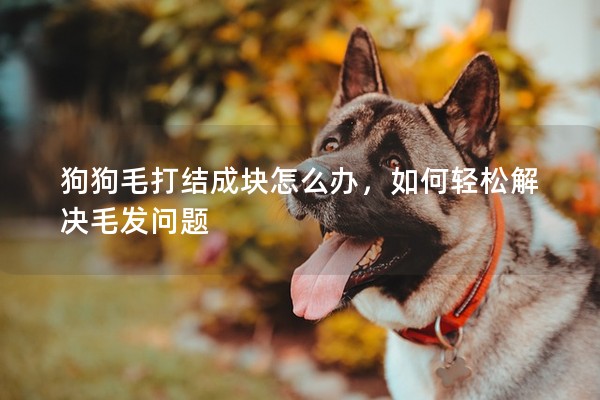 狗狗毛打結成塊怎么辦，如何輕松解決毛發問題