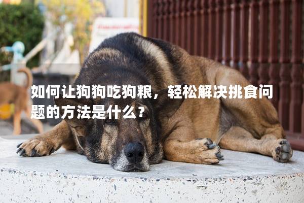 如何讓狗狗吃狗糧，輕松解決挑食問題的方法是什么？