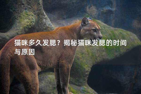 貓咪多久發(fā)腮？揭秘貓咪發(fā)腮的時(shí)間與原因