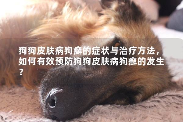 狗狗皮膚病狗癬的癥狀與治療方法,如何有效預防狗狗皮膚病狗癬的發生? 狗狗皮膚病狗癬的癥狀與治療方法,如何有效預防狗狗皮膚病狗癬的發生?