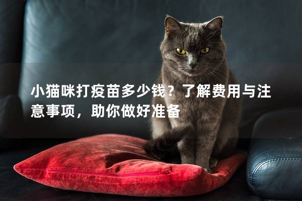 小貓咪打疫苗多少錢？了解費用與注意事項，助你做好準備