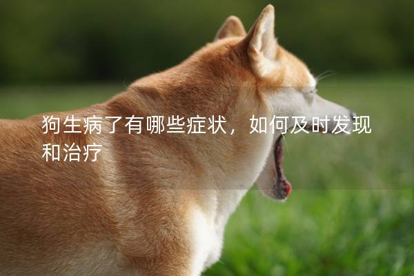 狗生病了有哪些癥狀，如何及時發(fā)現(xiàn)和治療