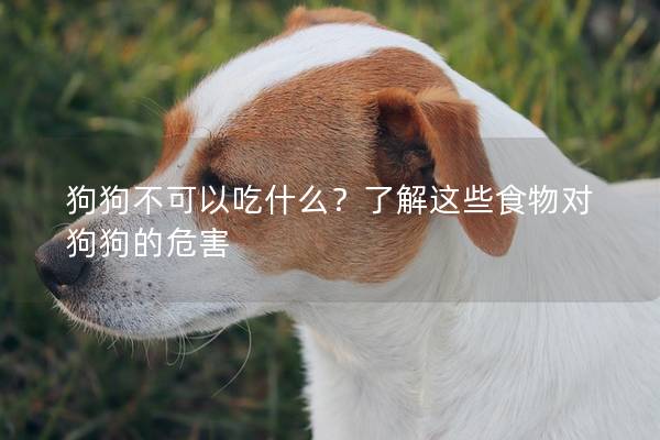 狗狗不可以吃什么？了解這些食物對狗狗的危害