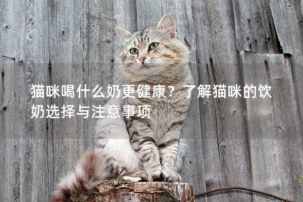 貓咪喝什么奶更健康？了解貓咪的飲奶選擇與注意事項(xiàng)