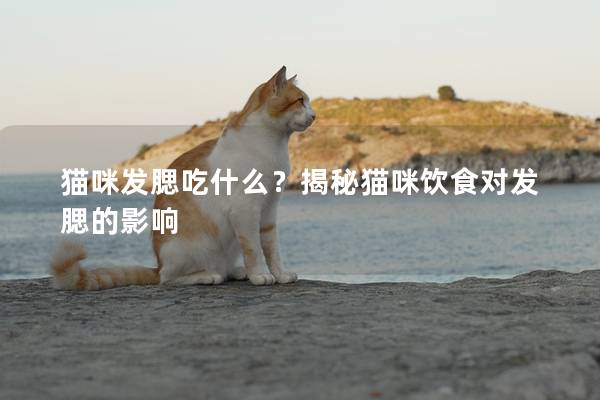 貓咪發(fā)腮吃什么？揭秘貓咪飲食對(duì)發(fā)腮的影響
