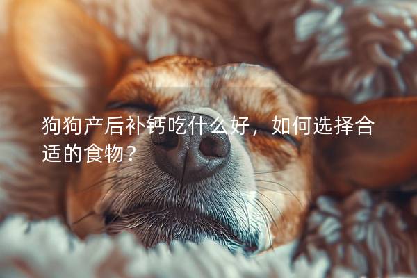 狗狗產后補鈣吃什么好，如何選擇合適的食物？